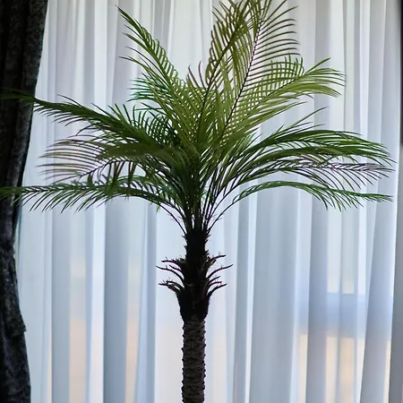 Alma In Infinity - Parking *